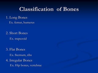 Chemical Composition of Bones1. Organic componentsCollagen fibers
