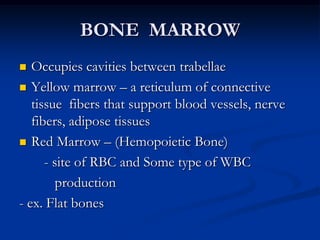 Polyssacharides2. Inorganic componentscalcium phosphate