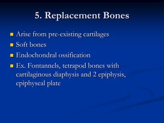 Hydroxypatite ionsMicroscopic anatomy of bones