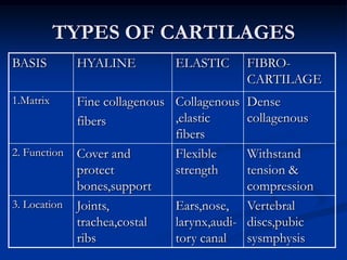 TYPES OF BONES : (OSTEOGENESIS)Compact Bone (Lamellar Bone)	- hard bone matrix – CaCO3,CaPO4,OH)      - long bones2. Spongy Bone (Cancelous Bone)	- consist of bony trabecullae and bone marrow	- trabeculae – beams,bars,rods			      - irregularly arranged lamellae without 			haversian canals