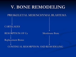 Ex. Scales of fishes,cementum of teeth4. MEMBRANE BONEformed by blastema (mesenchymal cells w/c differentiates into tissues)Develop through ossificationBone deposited directly within the membranous blastema without being preceeded by cartilages (intramembranous)May be compact or spongy,lamellar or non-lamellar, no haversian canalsEx. Lower jaw, skull, pectoral girdles,dentin, dermal bones of teleost,apodans