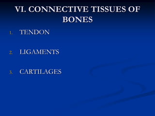 II. Cartilage - specialized connective tissue in which fibers are laid down along the lines of stress in long, parallel arrays firm and flexible chondrocytes - cartilage cells that live within spaces (lacunae) within cartilage matrix-CHONDRIFICATION – chondroblast- chondrocytes17