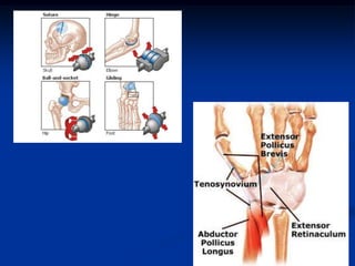 Phases of Healing of FracturesHematoma  Formation