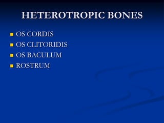 Body Callus Formation