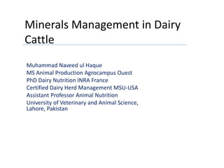 Minerals Management in Dairy
Cattle
Muhammad Naveed ul Haque
MS Animal Production Agrocampus Ouest
PhD Dairy Nutrition INRA France
Certified Dairy Herd Management MSU-USA
Assistant Professor Animal Nutrition
University of Veterinary and Animal Science,
Lahore, Pakistan
Alltech Dairy Development Program
3rd August 2016
 
