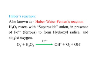 Fe Mineral metabolism | PDF