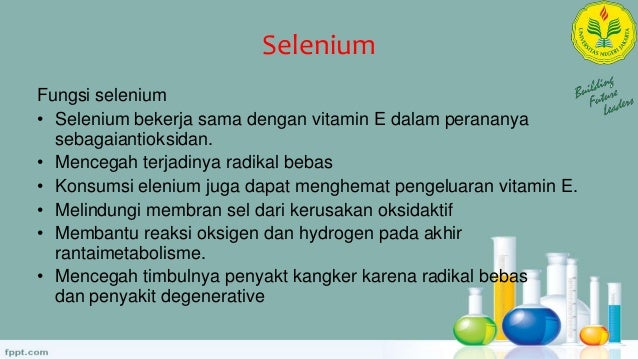 Mineral Mikro Biokimia