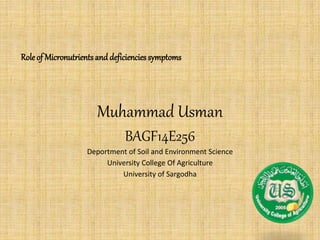 Muhammad Usman
BAGF14E256
Deportment of Soil and Environment Science
University College Of Agriculture
University of Sargodha
Role of Micronutrients and deficienciessymptoms
 