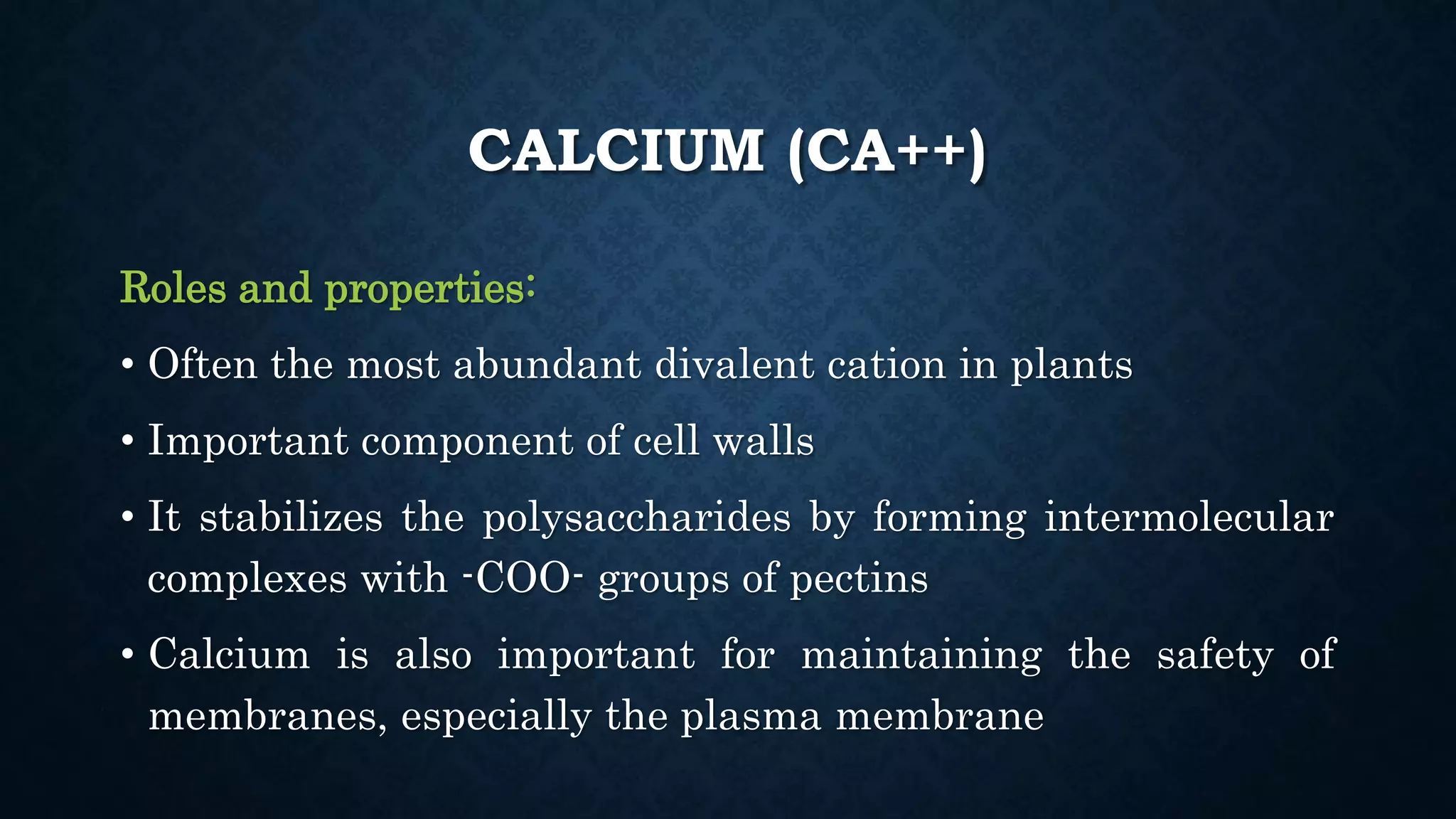 Effect and applications of different mineral nutrients on plants by Sohail