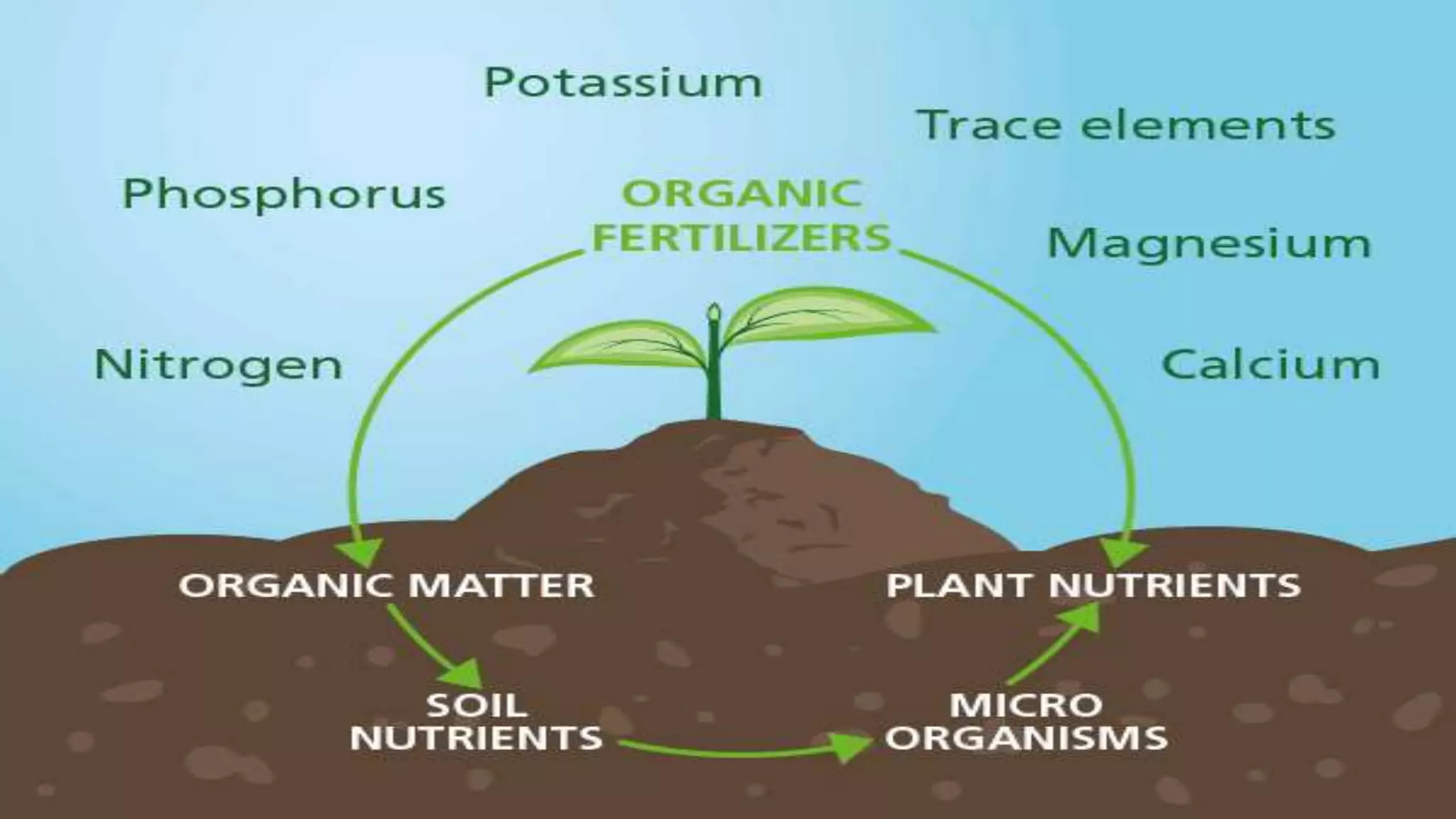 Effect and applications of different mineral nutrients on plants by Sohail