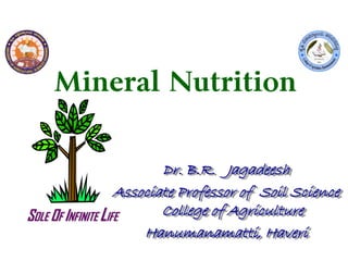 Mineral Nutrition
SOLE OF INFINITE LIFE
Dr. B.R. Jagadeesh
Associate Professor of Soil Science
College of Agriculture
Hanumanamatti, Haveri
 