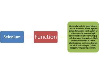 Mineral nutrition of plants | PDF