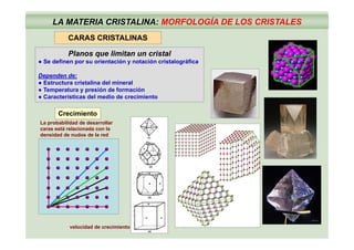 LA MATERIA CRISTALINA: MORFOLOGÍA DE LOS CRISTALES
CARAS CRISTALINAS
Planos que limitan un cristal
● Se definen por su orientación y notación cristalográfica
CARAS CRISTALINAS
Dependen de:
● Estructura cristalina del mineral
● Temperatura y presión de formación
● Características del medio de crecimiento● Características del medio de crecimiento
La probabilidad de desarrollar
Crecimiento
p
caras está relacionada con la
densidad de nudos de la red
velocidad de crecimiento
 