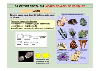 LA MATERIA CRISTALINA: MORFOLOGÍA DE LOS CRISTALES
HÁBITOHÁBITO
Término usado para describir la forma externa de
un mineral
algunos términos descriptivos:
Grado de desarrollo de caras
● euhédrico ~ idiomorfo (buen desarrollo)
● subhédrico ~ hipidiomorfo
● anhédrico ~ xenomorfo (sin caras cristalinas)
acicular
cúbico prismático
columnar
laminartabular listón
120o
120o
120o
120o
120o
120o
120o
Ley de Steno 1669Ley de Steno, 1669
(constancia de los
ángulos diédricos)
 