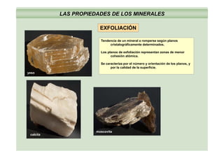 Ó
LAS PROPIEDADES DE LOS MINERALES
EXFOLIACIÓN
Tendencia de un mineral a romperse según planos
cristalográficamente determinados.
Los planos de exfoliación representan zonas de menor
cohesión atómica.
Se caracteriza por el número y orientación de los planos, y
por la calidad de la superficie.
yeso
moscovita
calcita
 