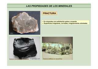 LAS PROPIEDADES DE LOS MINERALES
FRACTURA
▪ En minerales con exfoliación pobre a ausente
▪ Superficies irregulares, curvadas, irregularmente orientadas
silex
fractura concoidal en obsidiana fractura astillosa en serpentina
 