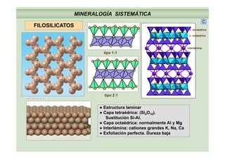 MINERALOGÍA SISTEMÁTICA
FILOSILICATOS
C
FILOSILICATOS
c. octaédrica
c. tetraédrica
tipo 1:1
interlámina
tipo 2:1
● Estructura laminar
● Capa tetraédrica: (Si4O10).
Sustitución Si-Al.
● Capa octaédrica: normalmente Al y Mg
● Interlámina: cationes grandes K, Na, Ca
● Exfoliación perfecta Dureza baja● Exfoliación perfecta. Dureza baja
 