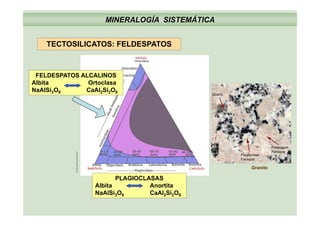 MINERALOGÍA SISTEMÁTICA
TECTOSILICATOS: FELDESPATOS
FELDESPATOS ALCALINOS
Albita Ortoclasa
NaAlSi3O8 CaAl2Si2O8
eol.ucsb.edu
PLAGIOCLASAS
Albita Anortita
www.ge
Granito
NaAlSi3O8 CaAl2Si2O8
 