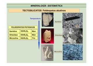 MINERALOGÍA SISTEMÁTICA
TECTOSILICATOS: Feldespatos alcalinosTECTOSILICATOS: Feldespatos alcalinos
T tTemperatura
Sanidina
KAlSi3O8 MonSanidina
FELDESPATOS POTÁSICOS
KAlSi3O8
KAlSi3O8
Tric
Mon
Microclina
Ortoclasa Ortoclasa
Microclina
 