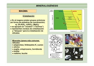 MINERALOGÉNESIS
MAGMAMAGMA
Cristalización
● En el magma existen grupos aniónicos
(en forma de poliedros de coordinación):
ej. (Si,Al)O4, n(SiO3), (MgO6)4 3 6
● se agrupan en “clusters” (“racimos”)
● representan núcleos de cristalización
y “bloques” para la cristalización de
silicatos objective earth unil chsilicatos
Minerales ígneos más comunes
objective-earth.unil.ch
Minerales ígneos más comunes
SilicatosSilicatos
● plagioclasa, feldespatos K, cuarzo
● olivino
roca plutónica
● augita, ortopiroxeno, hornblenda
● biotita
● nefelina, leucita
“clusters”
(Lee,1964) roca volcánica
 