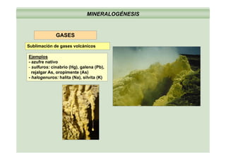 MINERALOGÉNESIS
GASES
Ejemplos
azufre nativo
Sublimación de gases volcánicos
- azufre nativo
- sulfuros: cinabrio (Hg), galena (Pb),
rejalgar As, oropimente (As)
- halogenuros: halita (Na), silvita (K)
 
