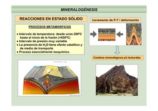 MINERALOGÉNESIS
REACCIONES EN ESTADO SÓLIDO incremento de P-T / deformaciónREACCIONES EN ESTADO SÓLIDO
PROCESOS METAMORFICOS
● Intervalo de temperatura: desde unos 200ºC
hasta el inicio de la fusión (>650ºC)
● Intervalo de presión muy variable
● La presencia de H2O tiene efecto catalítico y
de medio de transporte
● Proceso esencialmente isoquímico
Cambios mineralógicos y/o texturales
www.indiana.edu
 
