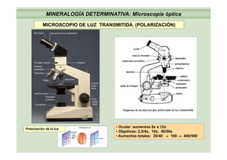 MINERALOGÍA DETERMINATIVA: Microscopía óptica
MICROSCOPIO DE LUZ TRANSMITIDA (POLARIZACIÓN)MICROSCOPIO DE LUZ TRANSMITIDA (POLARIZACIÓN)
• Ocular: aumentos 8x a 12x
• Objetivos: 2,5/4x, 10x, 40/50x
/ /
Polarización de la luz
• Aumentos totales: 20/40 → 100 → 400/500
 