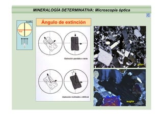 MINERALOGÍA DETERMINATIVA: Microscopía óptica
C
Ángulo de extinción
Pol
Analiz.
Pol
yeso
augita
 