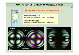 MINERALOGÍA DETERMINATIVA: Microscopía óptica
C
Figura de interferencia y signo óptico
Minerales niá icos
Analiz.
L. Bertrand
Minerales uniáxicos:
Sistemas Tetragonal, Trigonal y Hexagonal
Minerales biáxicos:
Pol
Minerales biáxicos:
Sistemas rómbico, monoclínico y triclínico
Isogiras
Uniáxico Biáxico
eje
óptico
Isocromáticas
 