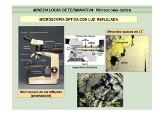 MINERALOGÍA DETERMINATIVA: Microscopía óptica
MICROSCOPÍA ÓPTICA CON LUZ REFLEJADAMICROSCOPÍA ÓPTICA CON LUZ REFLEJADA
Minerales opacos en LTMinerales opacos en LT
calcopirita
trayectoria de la luz
pirita
Microscopio de luz reflejada
(polarización)(polarización)
molibdenita
 