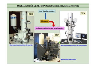 H d l t
MINERALOGÍA DETERMINATIVA: Microscopía electrónica
SEM
TEM
Haz de electrones
Muestra
emisión radiaciones analizables
EMP
Microscopio electrónico de barrido Microscopio electrónico de transmisión
Microsonda electrónica
 