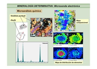 MINERALOGÍA DETERMINATIVA: Microsonda electrónica
Microanálisis químicoMicroanálisis químico
•Análisis puntual
•Perfil Mapa
composicional
50 μm
RodoniteO
Mapa de distribución de elementos
 