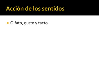  Olfato, gusto y tacto
 