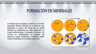 FORMACIÓN DE MINERALES
A medida que el magma se enfría, se forman
pequeños núcleos sólidos en su interior que
empiezan a crecer. En cada uno de estos
núcleos las moléculas se unen siguiendo un
orden determinado, formando cristales. Un
cristal es simplemente un pedazo de
material cuyas moléculas o átomos están
todos ordenados en la misma dirección.
 