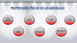 PROPIEDADES FÍSICAS DE LOS MIENRALES
FORMA
CRISTALINA BRILLO COLOR RAYA
DUREZA EXFOLIACIÓN
PESOPERFECTO
 