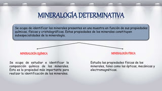 MINERALOGÍA DETERMINATIVA
MINERALOGÍAQUÍMICA
Se ocupa de identificar los minerales presentes en una muestra en función de sus propiedades
químicas, físicas y cristalográficas. Estas propiedades de los minerales constituyen
subespecialidades de la mineralogía.
MINERALOGÍAFÍSICA
Se ocupa de estudiar e identificar la
composición química de los minerales.
Esta es la propiedad más importante para
realizar la identificación de los minerales.
Estudia las propiedades físicas de los
minerales, tales como las ópticas, mecánicas y
electromagnéticas.
 