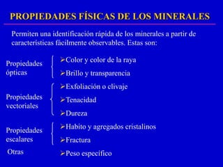 PROPIEDADES FÍSICAS DE LOS MINERALES
 Permiten una identificación rápida de los minerales a partir de
 características fácilmente observables. Estas son:

Propiedades      Color y color de la raya
ópticas          Brillo y transparencia
                 Exfoliación o clivaje
Propiedades      Tenacidad
vectoriales
                 Dureza
                 Habito y agregados cristalinos
Propiedades
escalares        Fractura
Otras            Peso específico
 