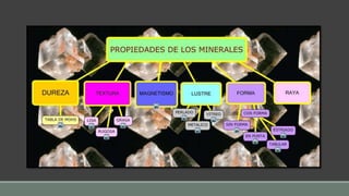 Mineralogia y rocas