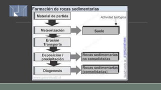 Mineralogia y rocas