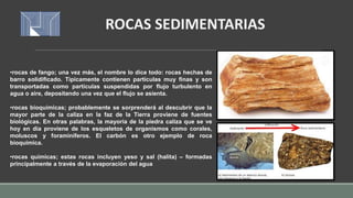 ROCAS SEDIMENTARIAS
•rocas de fango; una vez más, el nombre lo dice todo: rocas hechas de
barro solidificado. Típicamente contienen partículas muy finas y son
transportadas como partículas suspendidas por flujo turbulento en
agua o aire, depositando una vez que el flujo se asienta.
•rocas bioquímicas; probablemente se sorprenderá al descubrir que la
mayor parte de la caliza en la faz de la Tierra proviene de fuentes
biológicas. En otras palabras, la mayoría de la piedra caliza que se ve
hoy en día proviene de los esqueletos de organismos como corales,
moluscos y foraminíferos. El carbón es otro ejemplo de roca
bioquímica.
•rocas químicas; estas rocas incluyen yeso y sal (halita) – formadas
principalmente a través de la evaporación del agua
 
