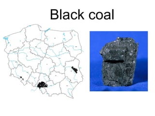 Black coal