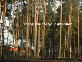 Thank you for your attention