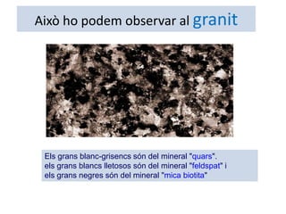 Això ho podem observar al granit




 Els grans blanc-grisencs són del mineral "quars".
 els grans blancs lletosos són del mineral "feldspat" i
 els grans negres són del mineral "mica biotita"
 