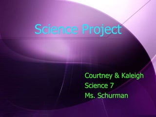 Science Project


        Courtney & Kaleigh
        Science 7
        Ms. Schurman
 