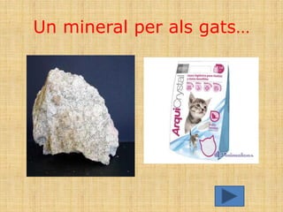 Un mineral per als gats…
 