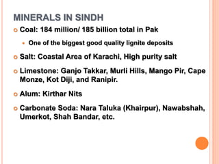 MINERALS IN SINDH
 Coal: 184 million/ 185 billion total in Pak
 One of the biggest good quality lignite deposits
 Salt: Coastal Area of Karachi, High purity salt
 Limestone: Ganjo Takkar, Murli Hills, Mango Pir, Cape
Monze, Kot Diji, and Ranipir.
 Alum: Kirthar Nits
 Carbonate Soda: Nara Taluka (Khairpur), Nawabshah,
Umerkot, Shah Bandar, etc.
 
