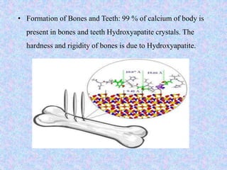• Formation of Bones and Teeth: 99 % of calcium of body is
present in bones and teeth Hydroxyapatite crystals. The
hardness and rigidity of bones is due to Hydroxyapatite.
 