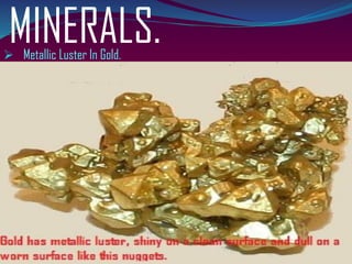 MINERALS.➢ Metallic Luster In Gold.
 