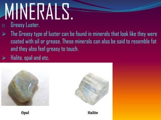 MINERALS.o Greasy Luster.
➢ The Greasy type of luster can be found in minerals that look like they were
coated with oil or grease. These minerals can also be said to resemble fat
and they also feel greasy to touch.
➢ Halite, opal and etc.
 