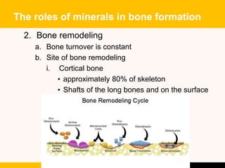 Bone Roles NDD30503: NUTRITION FOR SPORTS AND EXERCISE | PPTX